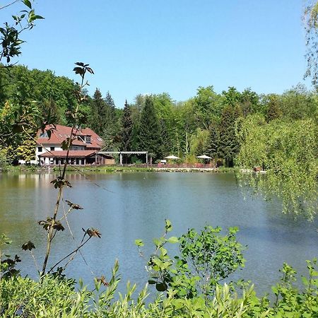Waldhotel Zur Holzmühle Eldagsen Exterior foto